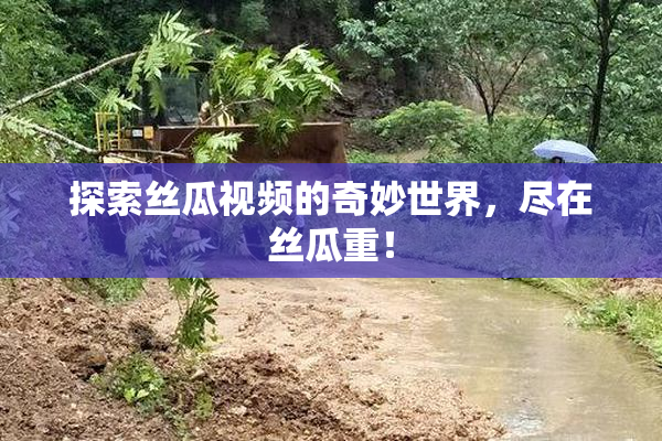 探索丝瓜视频的奇妙世界，尽在丝瓜重！