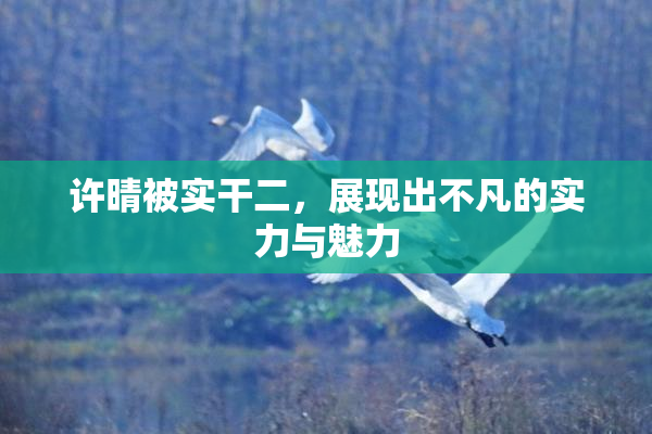 许晴被实干二，展现出不凡的实力与魅力
