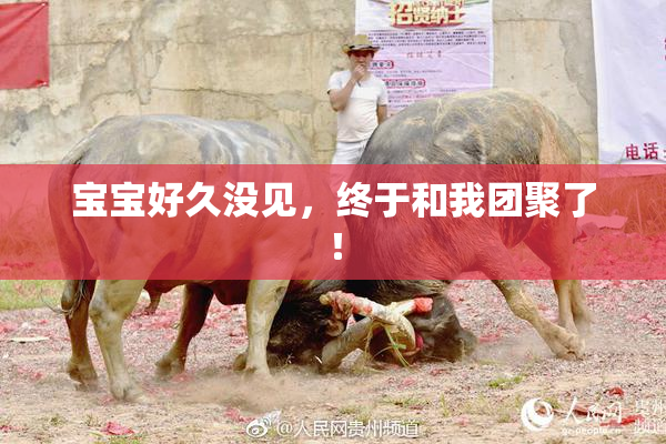 宝宝好久没见，终于和我团聚了！
