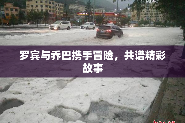 罗宾与乔巴携手冒险，共谱精彩故事