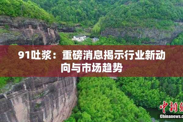 91吐浆：重磅消息揭示行业新动向与市场趋势