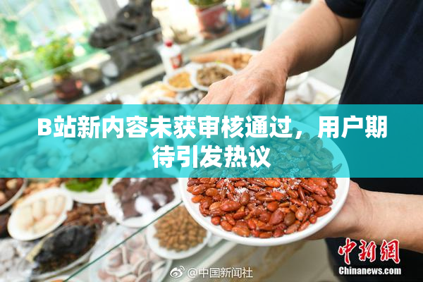 B站新内容未获审核通过，用户期待引发热议