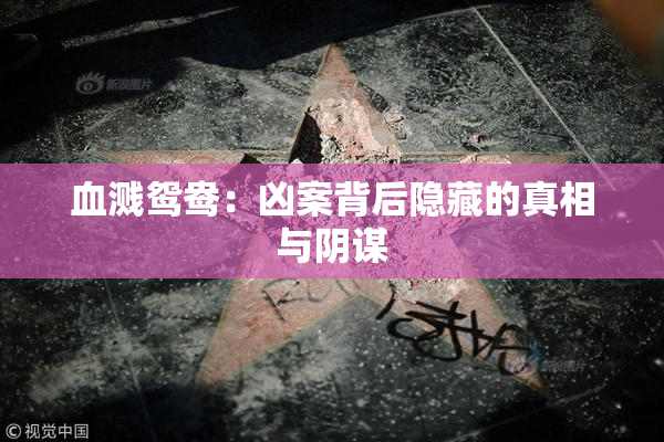 血溅鸳鸯：凶案背后隐藏的真相与阴谋
