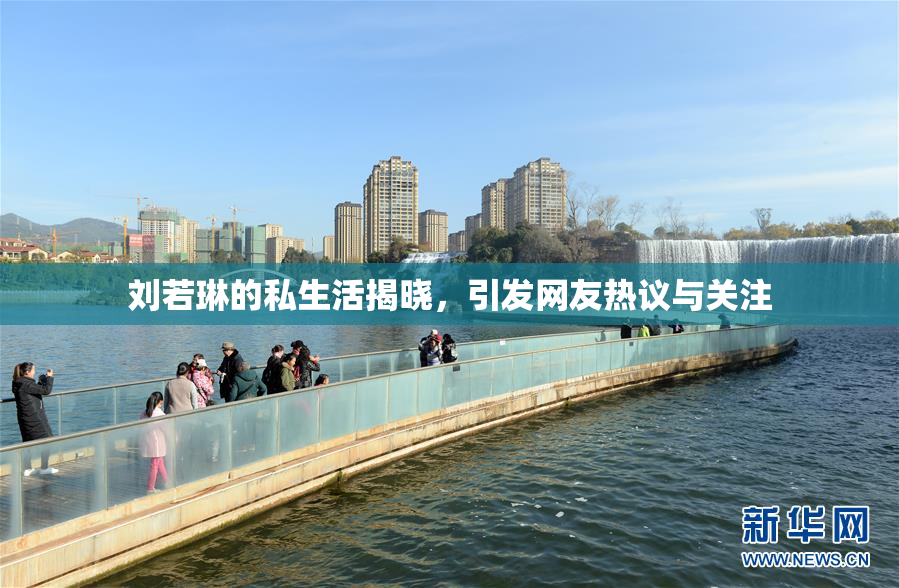 刘若琳的私生活揭晓，引发网友热议与关注