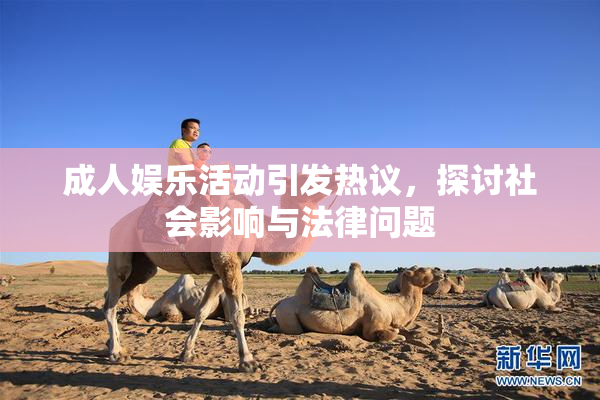 成人娱乐活动引发热议，探讨社会影响与法律问题