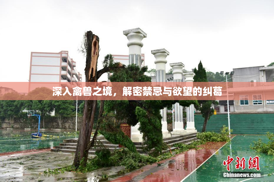 深入禽兽之境，解密禁忌与欲望的纠葛
