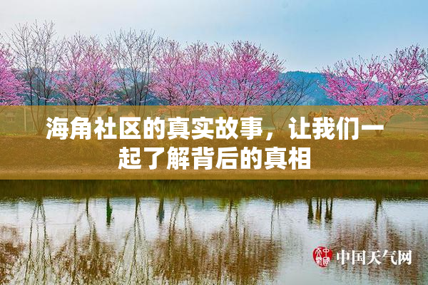 海角社区的真实故事，让我们一起了解背后的真相