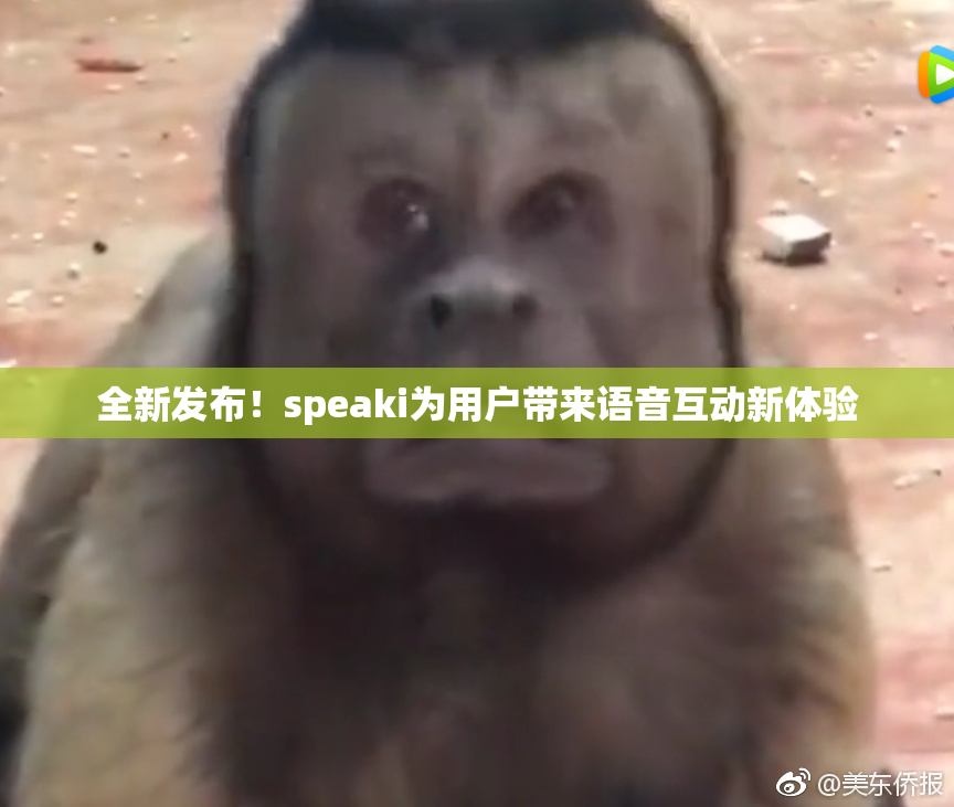 全新发布！speaki为用户带来语音互动新体验