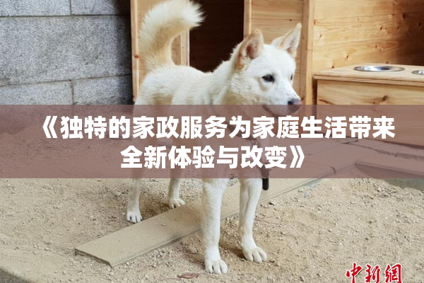 《独特的家政服务为家庭生活带来全新体验与改变》
