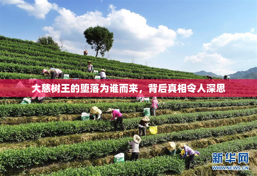 大慈树王的堕落为谁而来，背后真相令人深思
