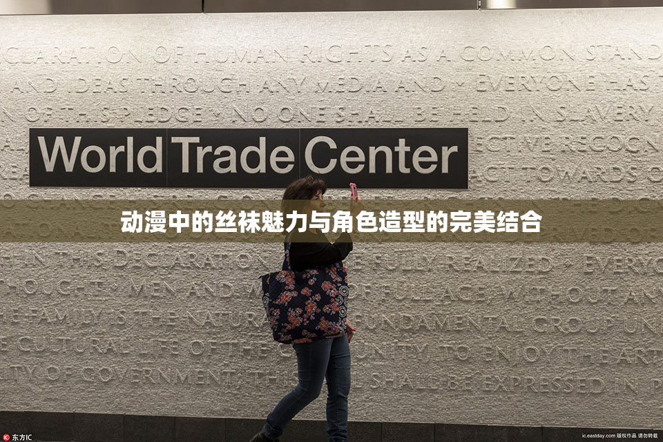 动漫中的丝袜魅力与角色造型的完美结合