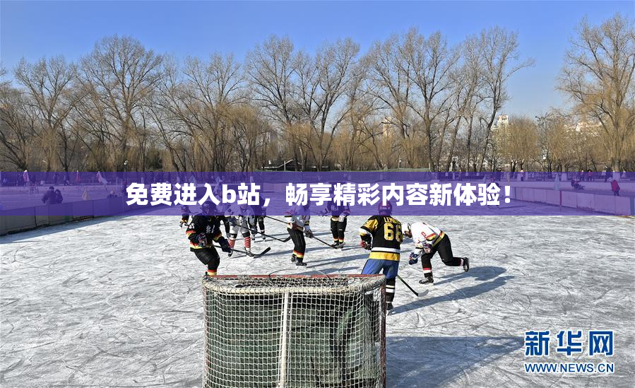 免费进入b站，畅享精彩内容新体验！