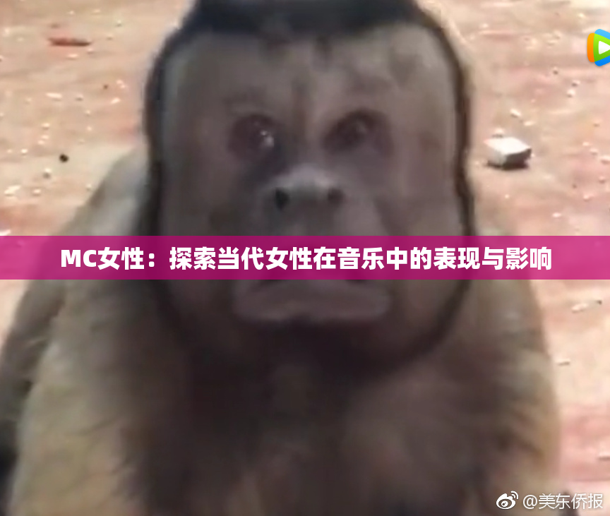 MC女性：探索当代女性在音乐中的表现与影响