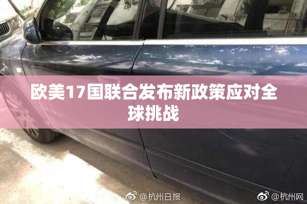 欧美17国联合发布新政策应对全球挑战