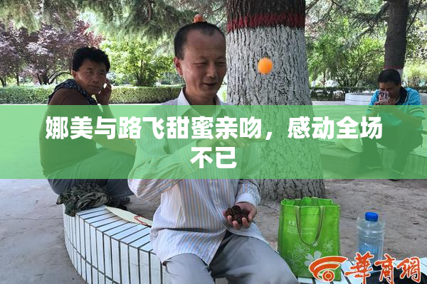 娜美与路飞甜蜜亲吻，感动全场不已