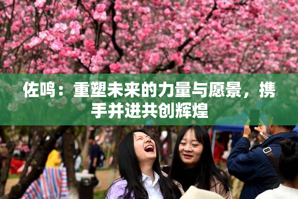 佐鸣：重塑未来的力量与愿景，携手并进共创辉煌