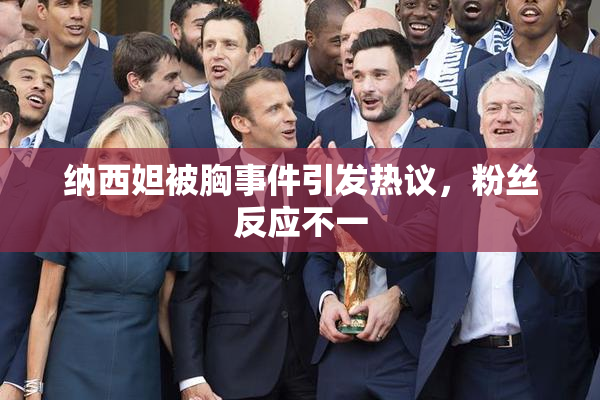 纳西妲被胸事件引发热议，粉丝反应不一