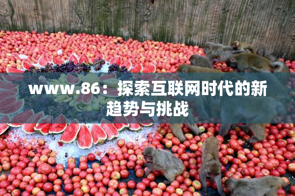 www.86：探索互联网时代的新趋势与挑战