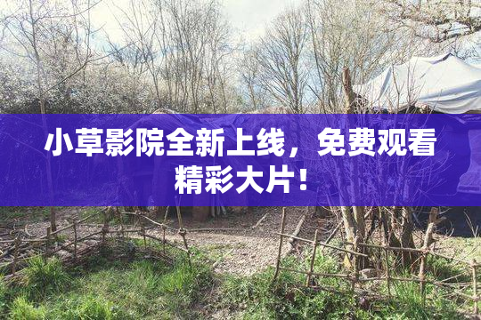 小草影院全新上线，免费观看精彩大片！