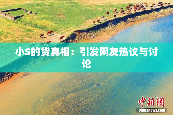 小S的货真相：引发网友热议与讨论