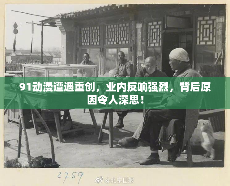 91动漫遭遇重创，业内反响强烈，背后原因令人深思！