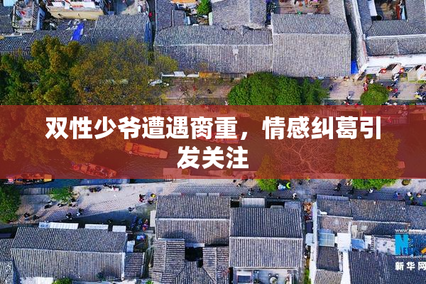 双性少爷遭遇脔重，情感纠葛引发关注