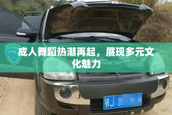 成人舞蹈热潮再起，展现多元文化魅力
