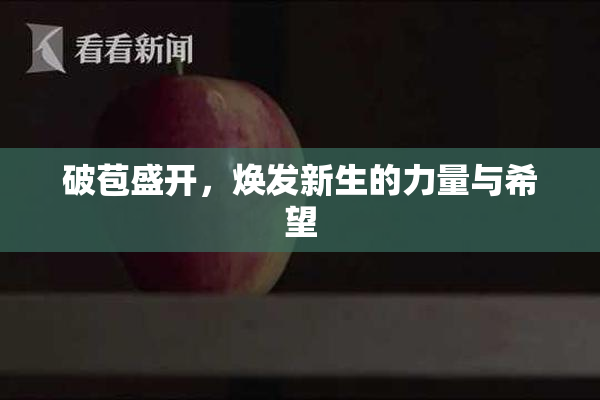 破苞盛开，焕发新生的力量与希望
