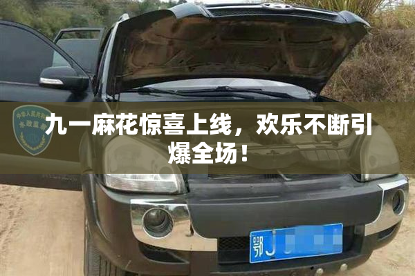 九一麻花惊喜上线，欢乐不断引爆全场！
