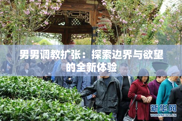 男男调教扩张：探索边界与欲望的全新体验