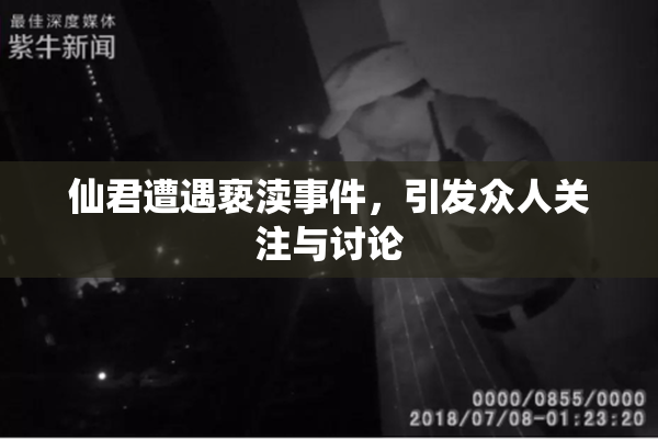 仙君遭遇亵渎事件，引发众人关注与讨论