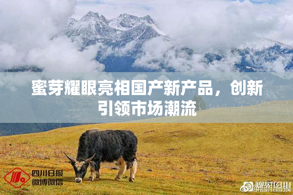 蜜芽耀眼亮相国产新产品，创新引领市场潮流