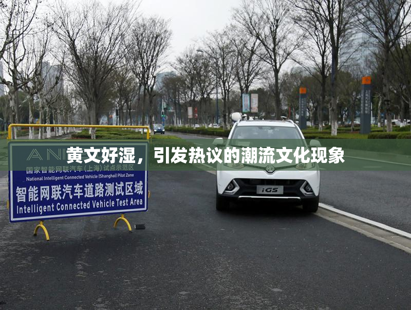 黄文好湿，引发热议的潮流文化现象