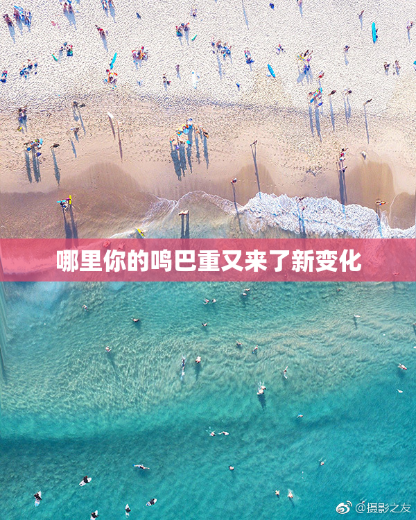 哪里你的鸣巴重又来了新变化