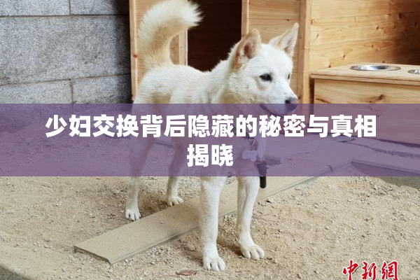 少妇交换背后隐藏的秘密与真相揭晓