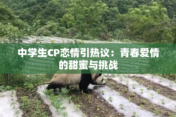 中学生CP恋情引热议：青春爱情的甜蜜与挑战