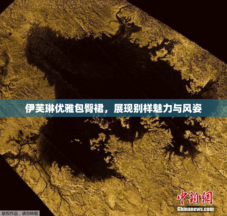 伊芙琳优雅包臀裙，展现别样魅力与风姿