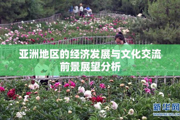 亚洲地区的经济发展与文化交流前景展望分析
