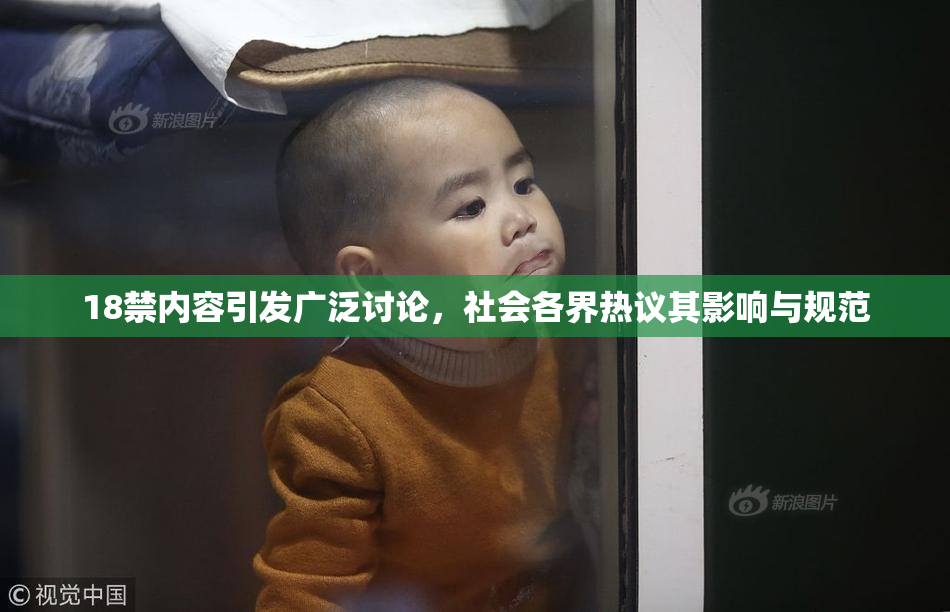 18禁内容引发广泛讨论，社会各界热议其影响与规范