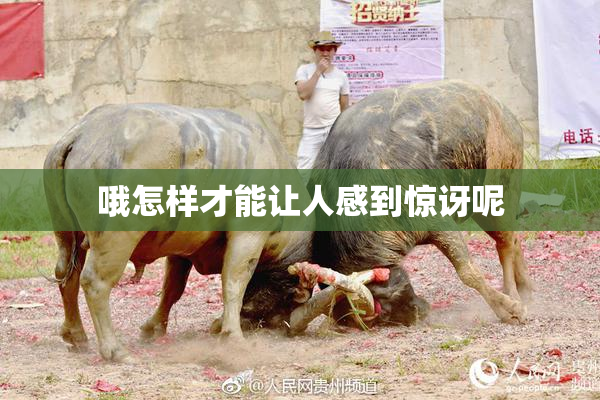 哦怎样才能让人感到惊讶呢