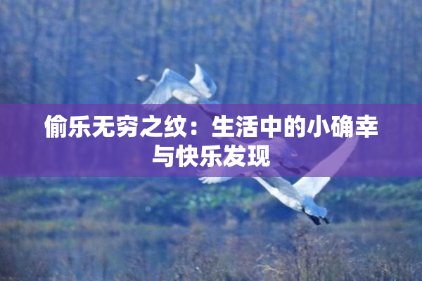 偷乐无穷之纹：生活中的小确幸与快乐发现