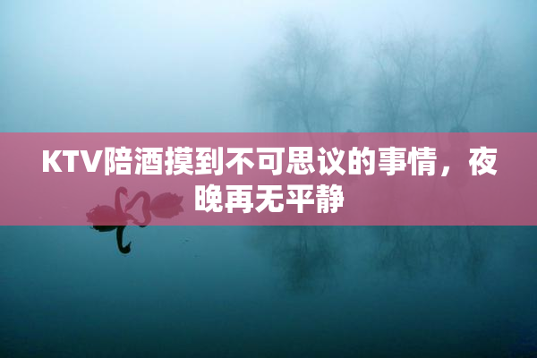 KTV陪酒摸到不可思议的事情，夜晚再无平静