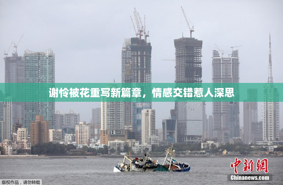 谢怜被花重写新篇章，情感交错惹人深思