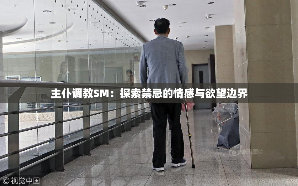 主仆调教SM：探索禁忌的情感与欲望边界