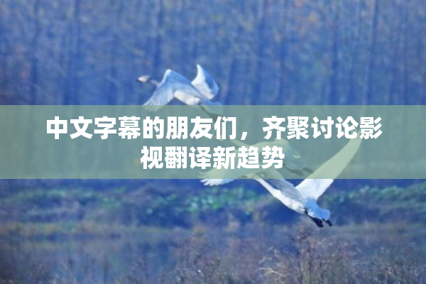 中文字幕的朋友们，齐聚讨论影视翻译新趋势