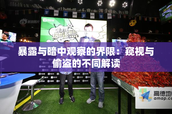 暴露与暗中观察的界限：窥视与偷盗的不同解读