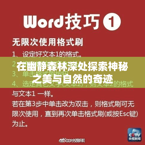 在幽静森林深处探索神秘之美与自然的奇迹