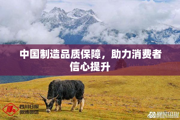 中国制造品质保障，助力消费者信心提升