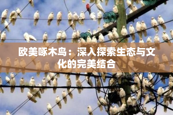 欧美啄木鸟：深入探索生态与文化的完美结合