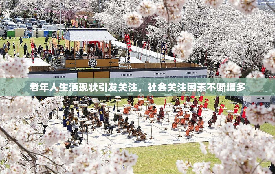 老年人生活现状引发关注，社会关注因素不断增多